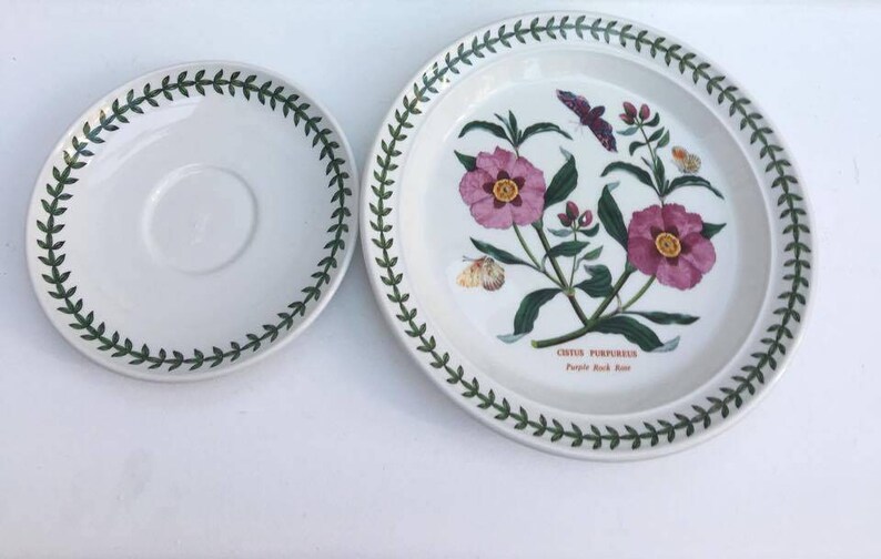 70s Botanic Garden Dinner Plate Cistus Purpureus Purple Rock Rose Made in England and a Saucer Portmeirion Dinner Plate China Replacement