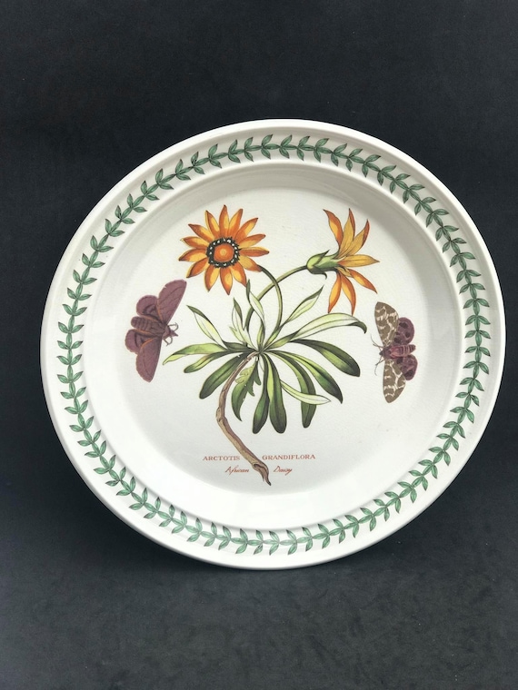 Portmeirion Botanica Dinner Plate 70s Botanic Garden Dinner Plate Cistus Purpureus Woody Nightshade Made in England China Replacement Etsy New Zealand