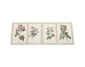 Vintage Rose Prints Set: 1960s Botanical Wall Art, Cottage Chic Decor