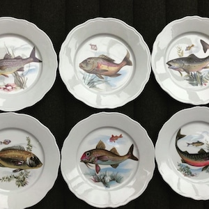 Piatti da pesce in porcellana francese vintage: arredamento da cucina in stile costiero, set da 6