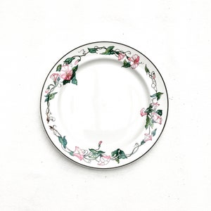 Dinner plates Villeroy and Boch Palermo pattern 10,5&quot;/ 26,7 cm set 9 dinner plate charger romantic dish Pink Morning Glory Border Brown Trim