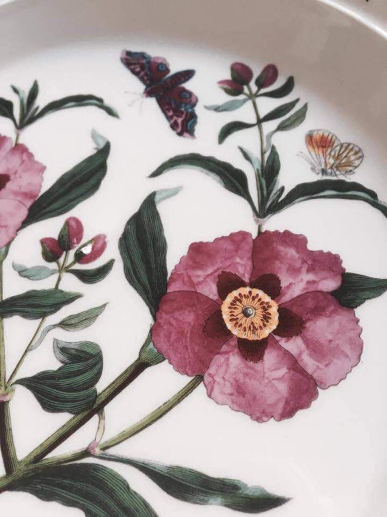 70s Botanic Garden Dinner Plate Cistus Purpureus Purple Rock Rose Made in England and a Saucer Portmeirion Dinner Plate China Replacement