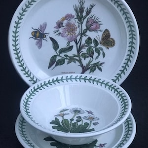 Portmeirion Botanica Salatteller 21,7 cm Durchmesser 21 cm Brot Butterteller 18 cm Müslischüssel Botanic Garden Rosa Ersatz