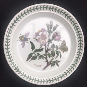 Portmeirion Botanica Salat Teller 70er Jahre Botanic Garden Entremets Dessert Teller Rosa canina Hund Rose Made in England Ersatz Ersatz
