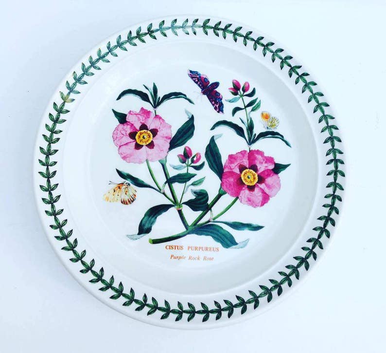 70s Botanic Garden Dinner Plate Cistus Purpureus Purple Rock Rose Made in England and a Saucer Portmeirion Dinner Plate China Replacement