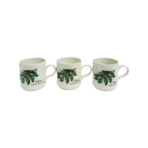 Coffee mugs Villeroy and Boch, Luxembourg, Vintage Koffietak, Liberica , Breakfast mug, Liberica with ripening fruits  Cups Coffee Dutch