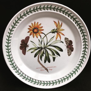 Portmeirion Botanica Speiseteller 70er Jahre Essteller ""Cistus Purpureus"" Woody Nightshade Made in England China Ersatz."