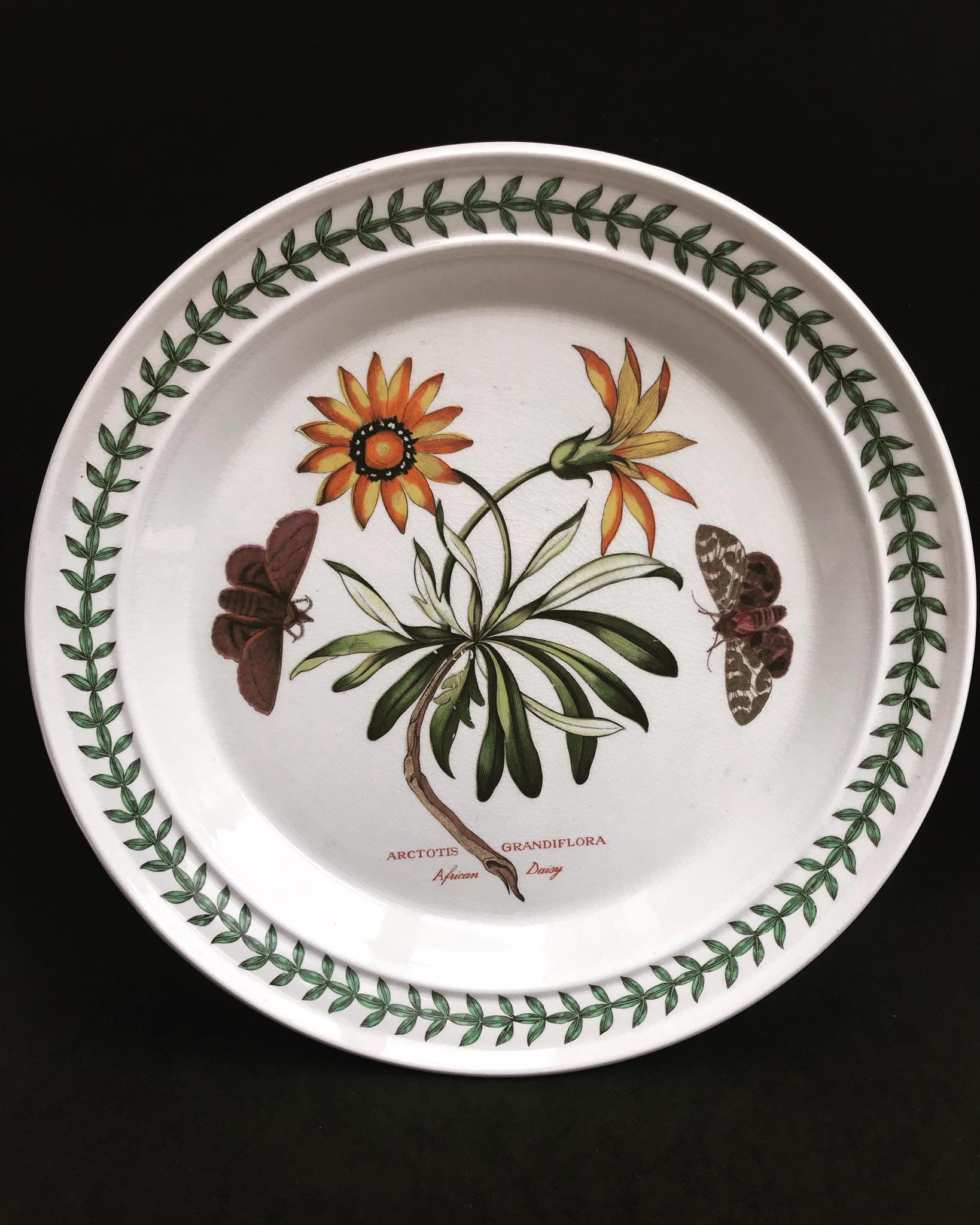Vintage English Portmerion Botanical Gardens Dinner Plates - Set of 12