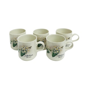 Coffee mugs Villeroy and Boch, Luxembourg, Vintage Koffiebloesem Arabica , Breakfast mug, Liberica with ripening fruits  Cups Coffee Dutch