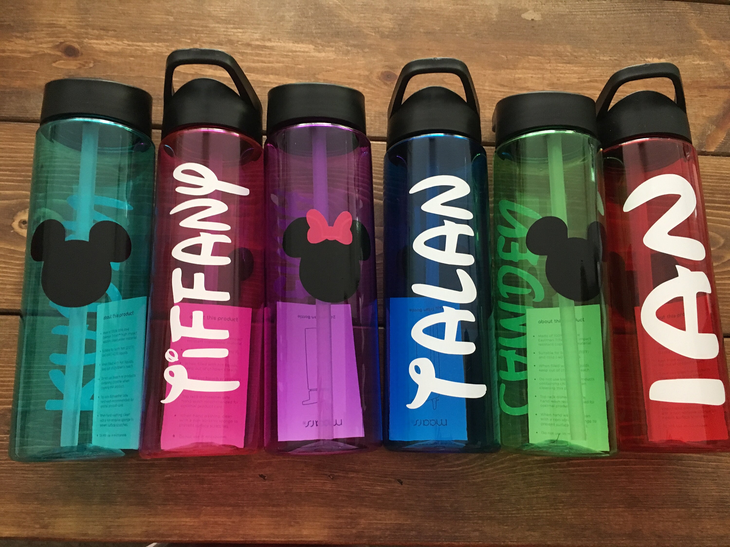 Mickey Water Bottle Disney Water Bottle Minnie Water Bottle Etsy