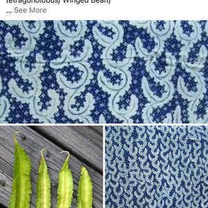 May include: A collage of images showing the winged bean, also known as Psophocarpus tetragonolobus, and a fabric pattern inspired by the bean. The fabric pattern is a blue and white paisley design. The winged bean is a green vegetable with a unique shape.