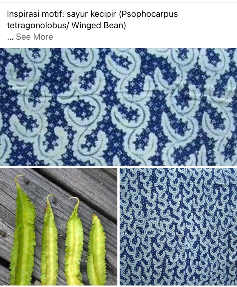 May include: A collage of images showing the winged bean, also known as Psophocarpus tetragonolobus, and a fabric pattern inspired by the bean. The fabric pattern is a blue and white paisley design. The winged bean is a green vegetable with a unique shape.