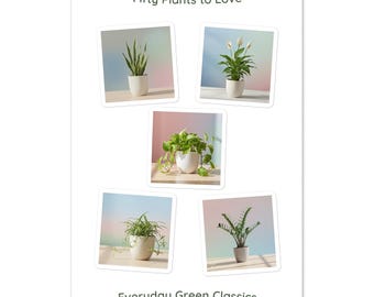 Vinyl Sticker Sheet - Everyday Green Classics – Houseplant Stickers
