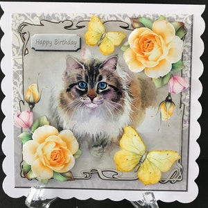 Cat Kitten Handmade 3D Female Birthday Card