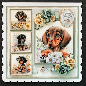 Dachshund Sausage Dog Handmade Girls Female Ladies Birthday Card 3D