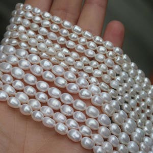Natural Freshwater Pearls  Shell Oval Beads ,Freshwater Pearl shell rice Beads ,15 inches one strand