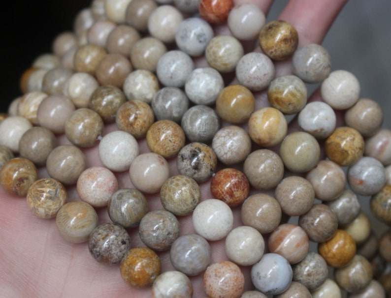 Natural Fossil Coral Jasper Beads Smooth Round Beads 4mm 6mm Etsy
