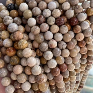 Natural Fossil Coral Jasper Beads, Smooth Round Beads, 4mm 6mm 8mm 10mm 12mm, 15 Inch, Full Strand