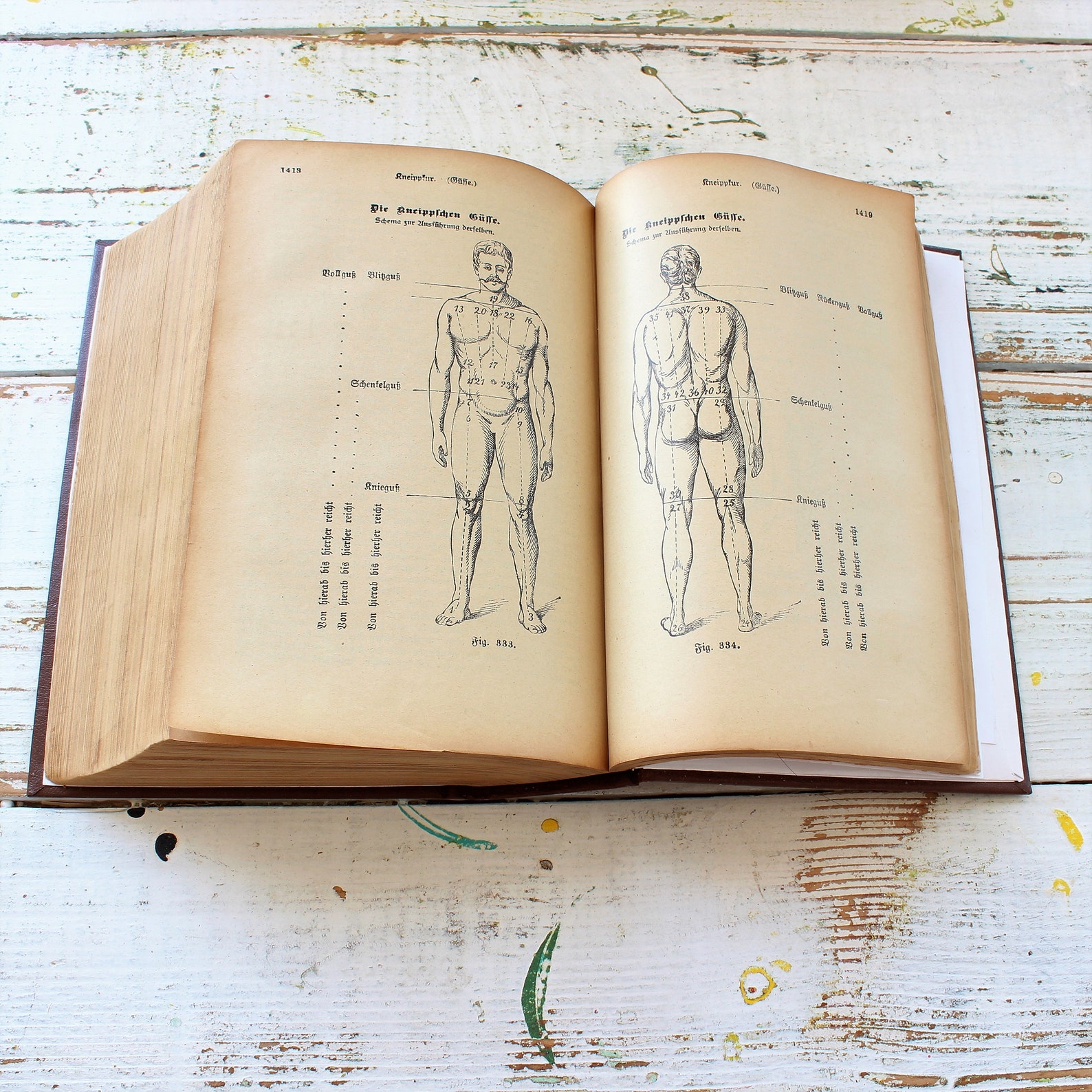 Antique 18thCentury Medical Anatomy Book Old Illustrated Book Etsy
