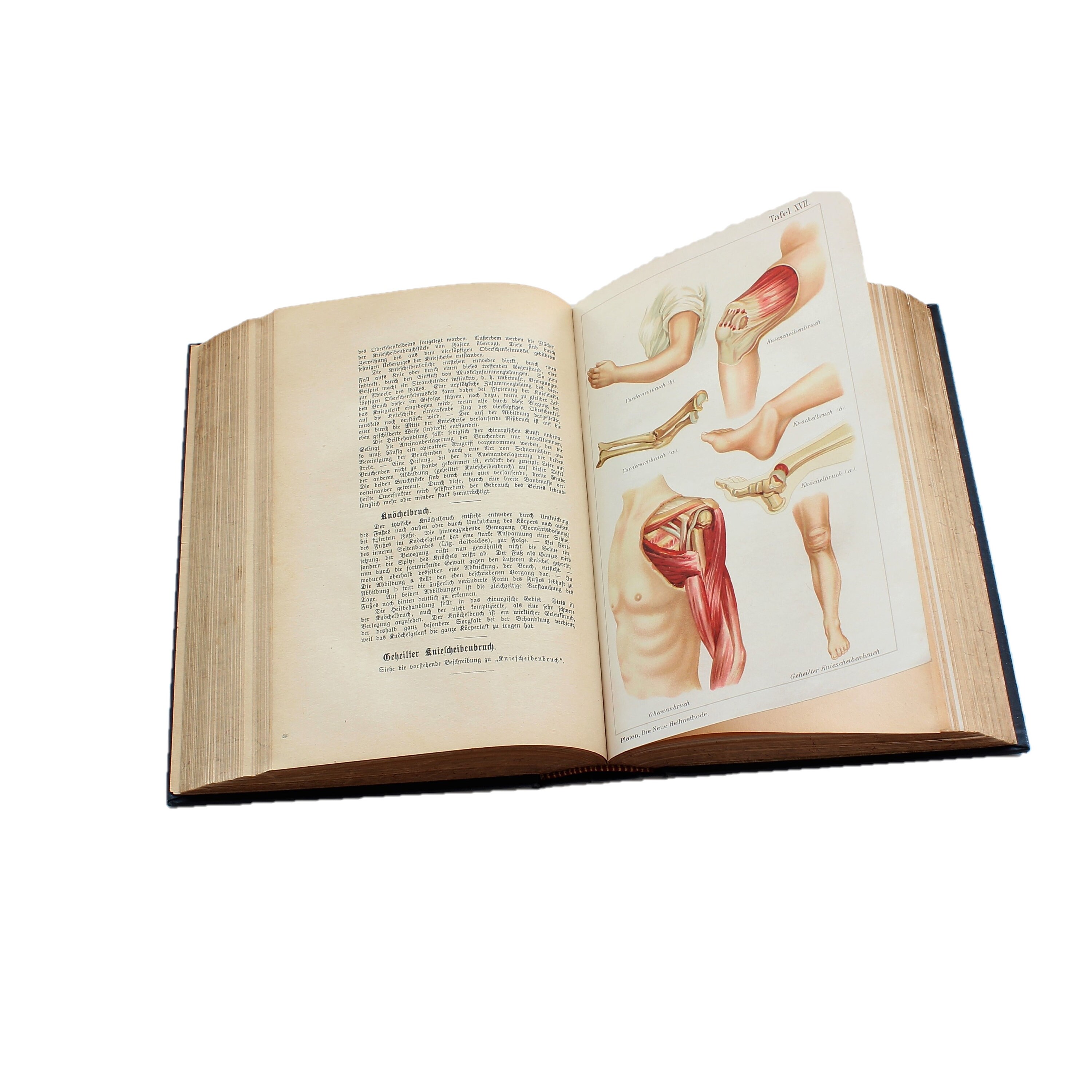 Antique 19thCentury Medical Anatomy Book Old Illustrated Book Etsy