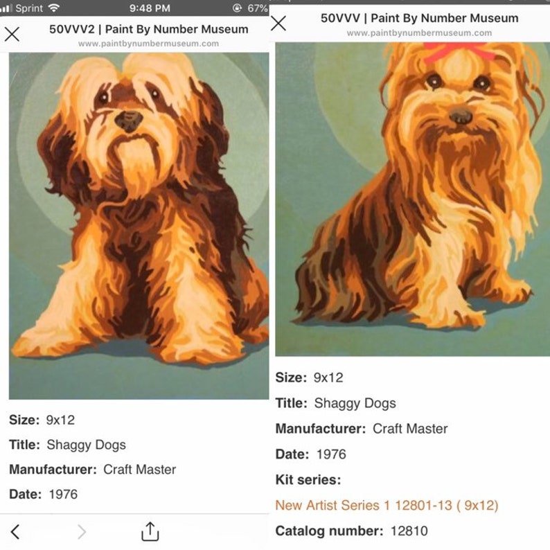 vintage paint by number shag dog shih tzu pair framed