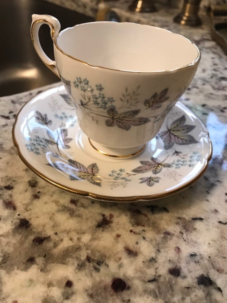 Paragon Fine Bone China Tea Cup and Saucer Enchantment Pattern Etsy