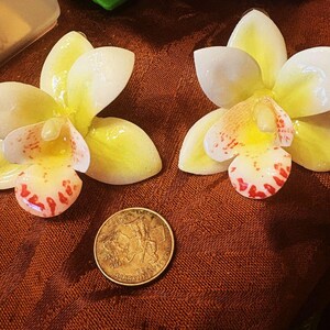 Pendientes de orquídea de Anthropologie, 3 x 2,75 cm, pendientes de orquídea grandes. imagen 4