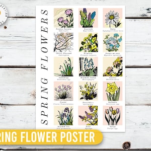 Póster de flores de primavera • Póster de aula con palabras de vocabulario para Montessori y educación en el hogar