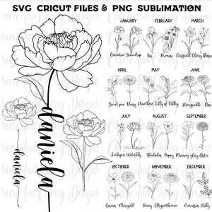 Op de afbeelding: Zwart-wit bloemenontwerp met de naam "Daniela" in cursief. Bevat illustraties van verschillende bloemen, elk gelabeld met een maand en bloemnaam, zoals "Carnation Snowdrop" en "Rose". De tekst "SVG Cricut Files & PNG Sublimation" staat bovenaan.