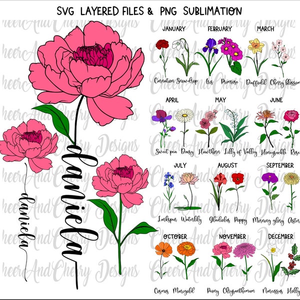 Birth flower SVG PNG Birthday Flower Color Svg Birth month flower Layered svg Bundle Birth Flowers Monogram svg DIY Gift for Grandma Mom