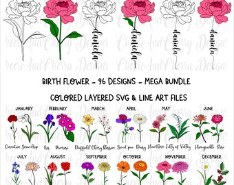 Birth Flower SVG Bundle 192 Designs Layered Floral SVG PNG Birth Month Flowers Custom Name Cricut Wildflower Monogram Sublimation Bundle