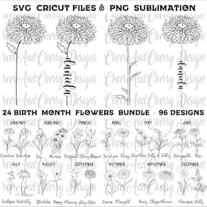 Pacote SVG de flores de aniversário PNG, arquivos Svg de aniversário Flores do mês de nascimento svg para Cricut Flores silvestres Arquivo de corte Capina Png Personalizar com nomes