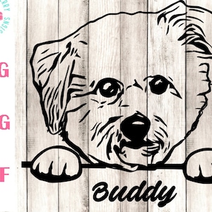 Op de afbeelding: Zwart-witte lijntekening van een hondenkop die over een oppervlak kijkt met het woord "Buddy" eronder.