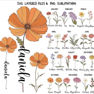 Flor de aniversário SVG PNG pacote Retro Arquivos Svg de aniversário Vintage Mês de nascimento flores svg Cricut Flores silvestres Arquivo de corte personalizado com nomes