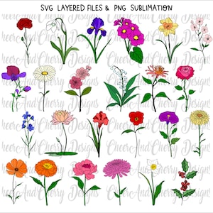 Geburtstags-Svg-Dateien, Geburtstags-Svg-Dateien, Geburtstags-Mondblumen, Layered-Svg für Cricut Wilde Blumen Cut File, Anpassen mit Namen