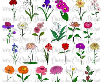 Birthday flower SVG PNG bundle, Birthday Svg files Birth month flowers Layered svg for Cricut Wild flowers Cut File Customize With Names