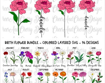 Birthday flower SVG PNG bundle, Birthday Svg files Birth month flowers Layered svg for Cricut Wild flowers Cut File Customize With Names