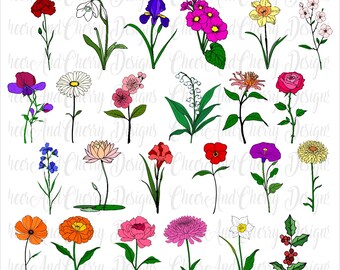 Birth Flower SVG PNG Bundle: Hand Drawn Floral Cut Files (Digital Download)
