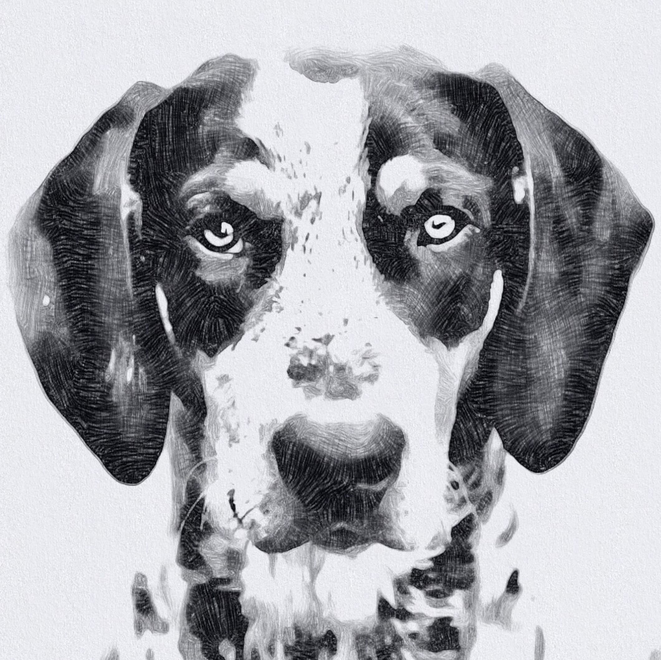 La famiglia LEGO-Disney si allarga! Zio Paperone, Qui, Quo e Qua tra gli  altri!, image size:2121x2119