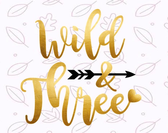 Download Birthday Svg Wild And Three Svg 3rd Birthday Svg Birthday Boy Etsy