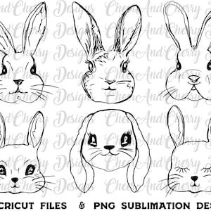 Op de afbeelding: Zes zwart-witte lijntekeningen van konijnengezichten. De konijnen hebben verschillende uitdrukkingen, waaronder gesloten ogen, open ogen en een verraste uitdrukking.