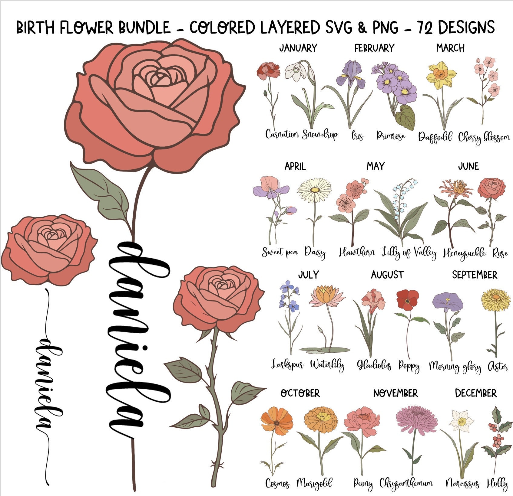 Birthday flower SVG PNG bundle Retro Birthday Svg files Vintage Birth month flowers svg Cricut Wild flowers Cut File Customize With Names