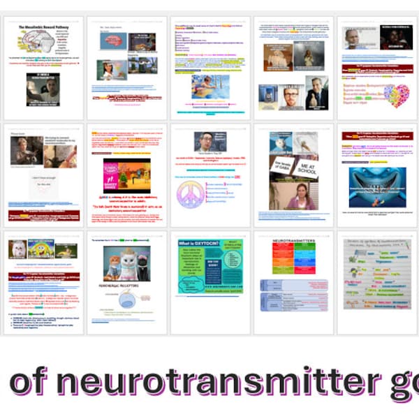 EPPP Visual Aid and Mnemonic Supplemental Packet (to supplement your studying!) Domain B: Physiological Psychology - Neurotransmitters