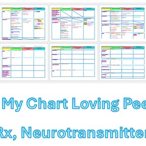 EPPP Visual Aid and Mnemonic Supplemental Packet (to supplement your studying!) Brain parts, Medications, Neurotransmitters, Disorders Chart