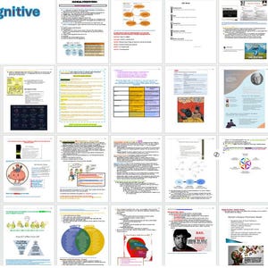 EPPP Study Guide: Cognitive Theories – Visual Mnemonics & Study Hacks ...