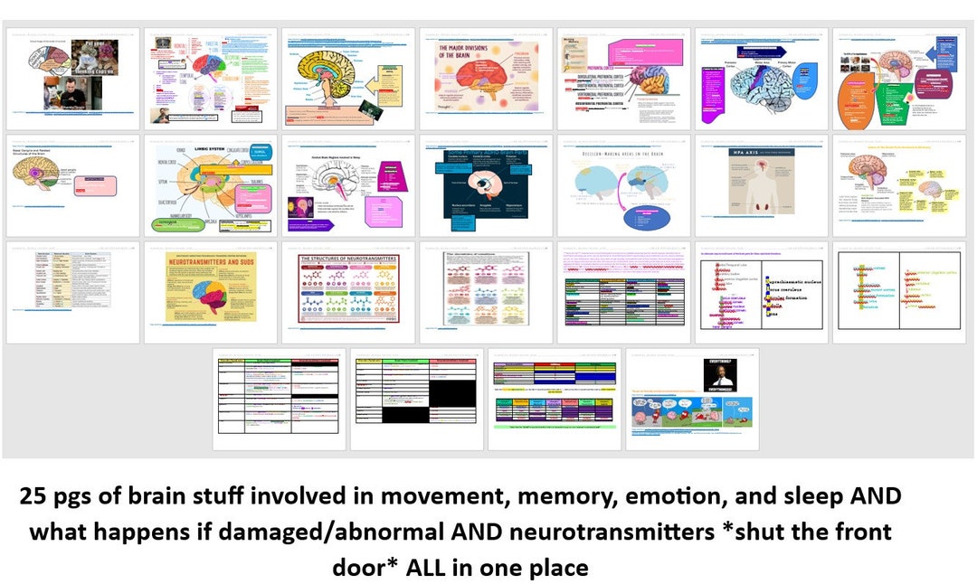 EPPP Visual Aid and Mnemonic Supplemental Packet to Supplement Your ...