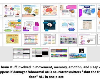 EPPP Visual Aid and Mnemonic Supplemental Packet (pour compléter vos études !) EPPP sur le cerveau : mouvement, émotion, sommeil, apprentissage et PLUS