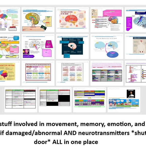 EPPP Visual Aid and Mnemonic Supplemental Packet (to supplement your studying!) EPPP on the brain: Movement, Emotion, Sleep, Learning + MORE