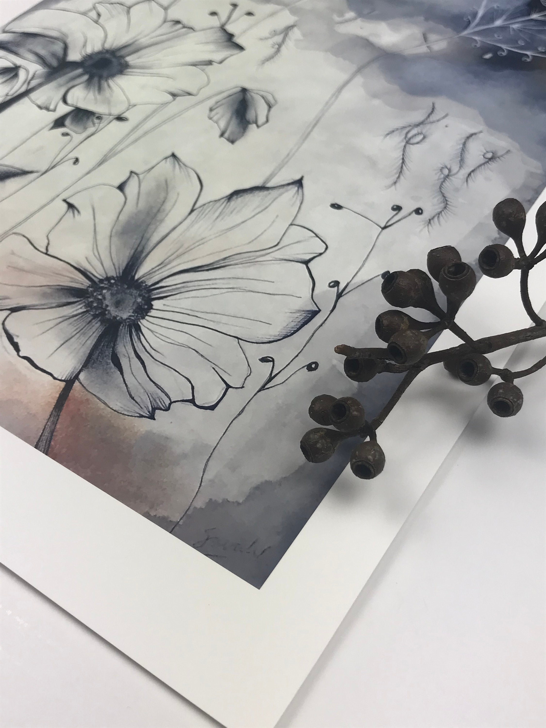 Nature Inspired Art Print / Botanical Illustration Print / Etsy Australia