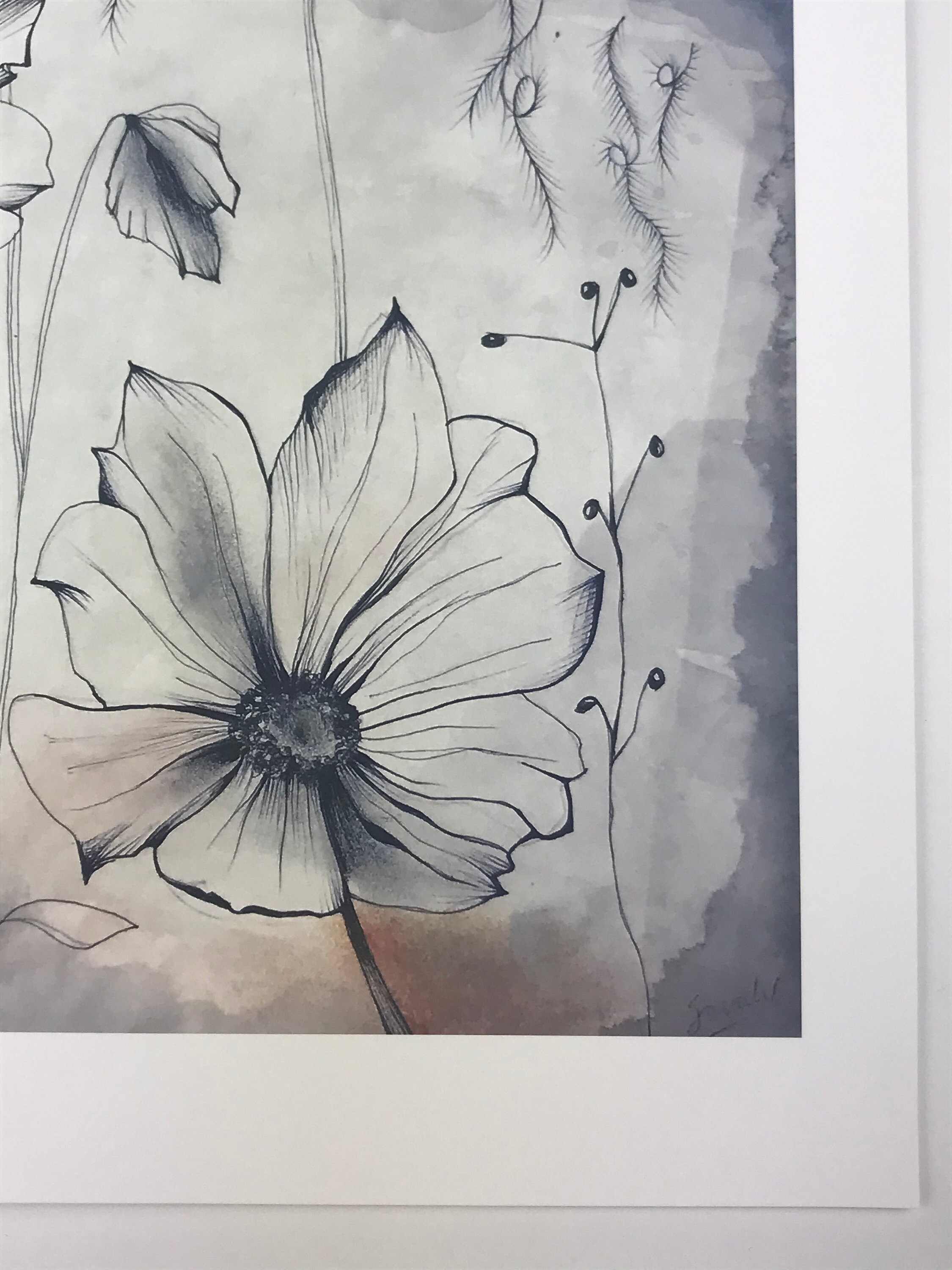 Nature Inspired Art Print / Botanical Illustration Print / Etsy Australia